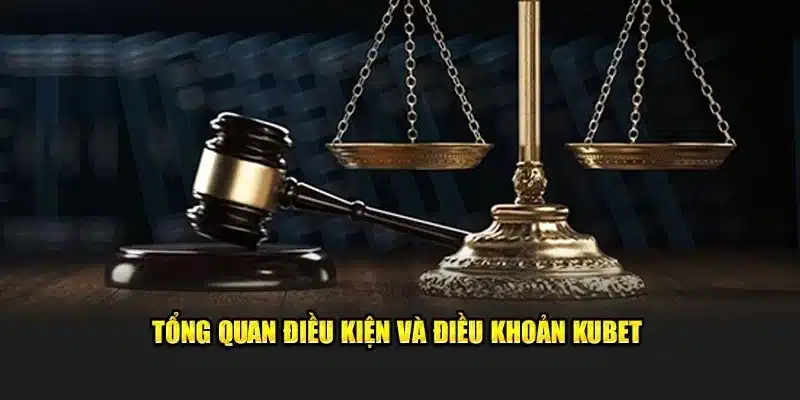 Quy định điều khoản điều kiện khi đăng ký