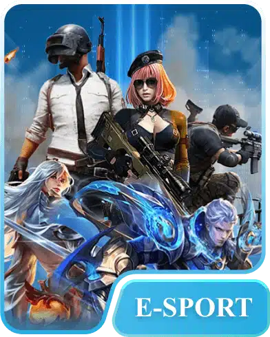 hometype esports